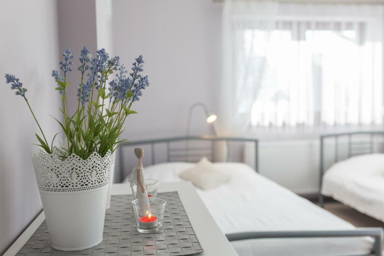 Groń U Kruka Bed & Breakfast エクステリア 写真